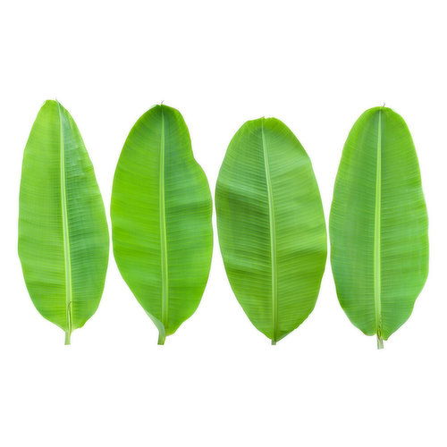 Banana Leaves